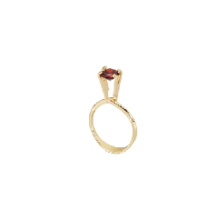 Demonstration Rings in Gold Colour