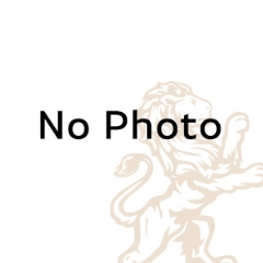 Ring Stick A-Z+6 with Handle (Aluminum whole sizes)